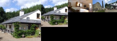 Treetops Bed & Breakfast