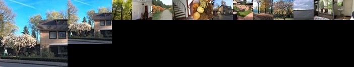 Bed & Breakfast de IJsvogel