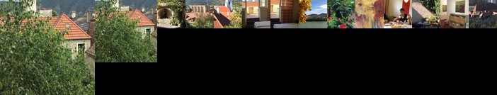 Pension Altes Rathaus