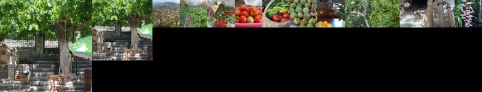 Mountainescape- sale