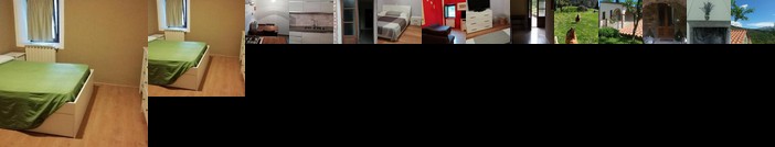 San Francesco E Il Lupo