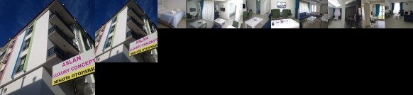 Aslan Luxury Concept