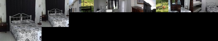 Pousada Flor De Lis Homestay