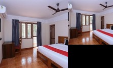 OYO Flagship 26502 Orchid Regency