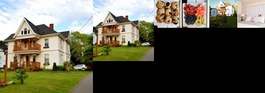 Weeping Willow House