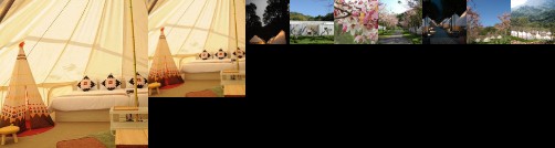 The Tale of Butterfly