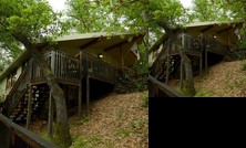 Starlite House & Barn House Studio