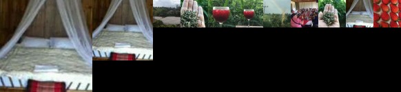 Wawee Strawberry House