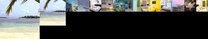 Sea Star Diving by Clove Beach