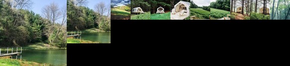 Tentrr - Forest Hideaway