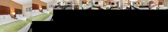 Comfort Inn & Suites Jamaica New York City