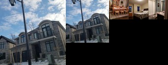 Eagle home Niagara Falls City