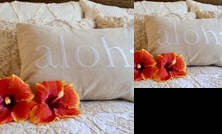 Aina Nalu K 205 1 Bedroom 1 Bathroom Condo