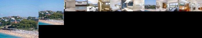 The Rentals Collection Coral