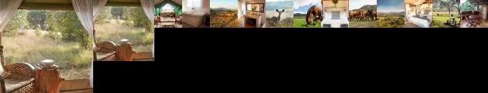 B'sorah Luxury Tented Camp