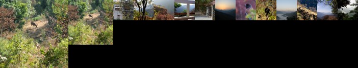 Auranya The Mystical Himalayan Retreat