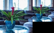 Luxurious Paradise on Marina