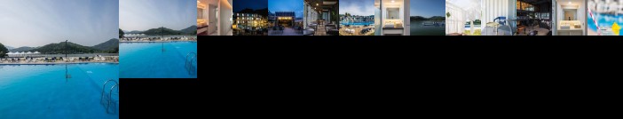 Parotia waterhouse hotel