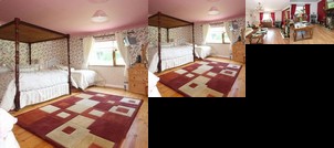 Mount Usher View B&B