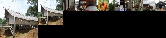 Arut Riverside Orangutan Guest house