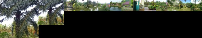 Coconut Valley Bed & Breakfast