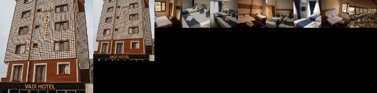 Vadi Otel