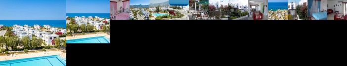 Levent Sugar 3 bedroom villa No 100