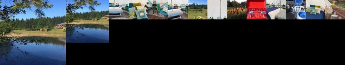 Luxury Tent-Boho Dreams