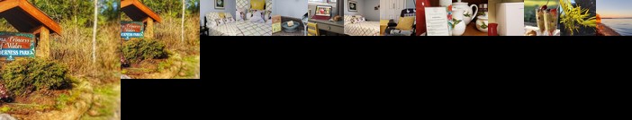 Hummingbird Haven B&B