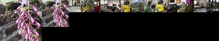 RENTA DE CABANAS Centro Ecoturistico Rural Sustentable Labor San Jose