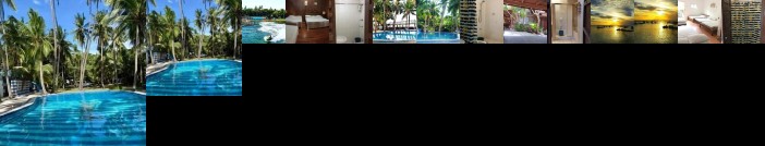 The Pelicans Castaway