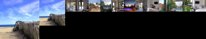 Les palmiers Juvignac