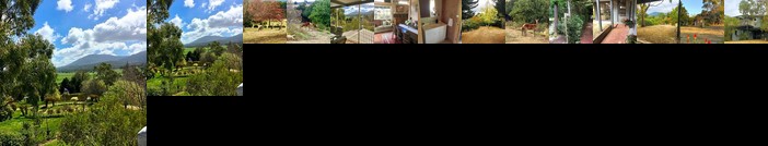 Highfield Cottage Gisborne