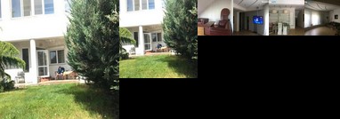 Zeleniy Dom Na Tolbuhina