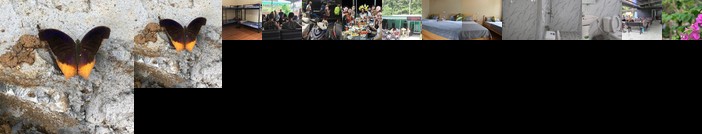 Cat Ba Countryside Homestay