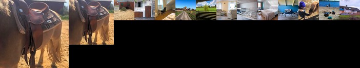 Stegemans Horse hotel and Country Lodge