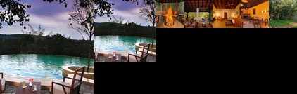 The Windflower Tusker Trails