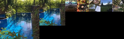 Apple Tree Family Home ECO