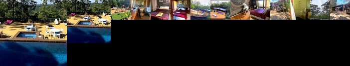 Where the forest meets the Sea