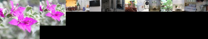 Nature House - Homestay Thu Duc Ho Chi Minh - Sai Gon Viet Nam