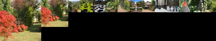 Delderfield Cottages