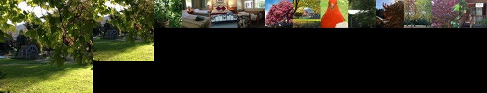 Crossways Country Inn