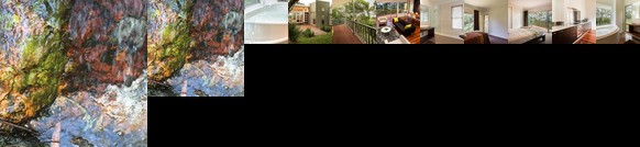 The Pinnacle on Lyrebird