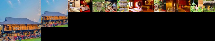 The Art - Golden Jungle House