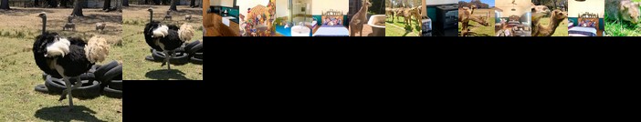 The Funny Farm - Animals / Churchhouse / Amazing Experience