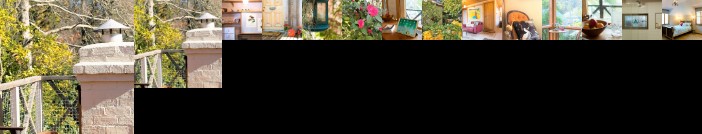 Camellia Cottage - Adelaide Hills + Wifi