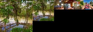 Papaya Homestay Sa Dec