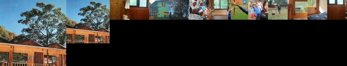 Golden Leather Carving Studio