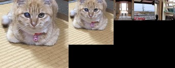 Hyuga - House / Vacation STAY 4158