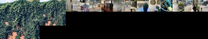 Yours and Theirs Pet Friendly Accommodation